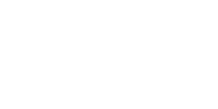 BRAVE