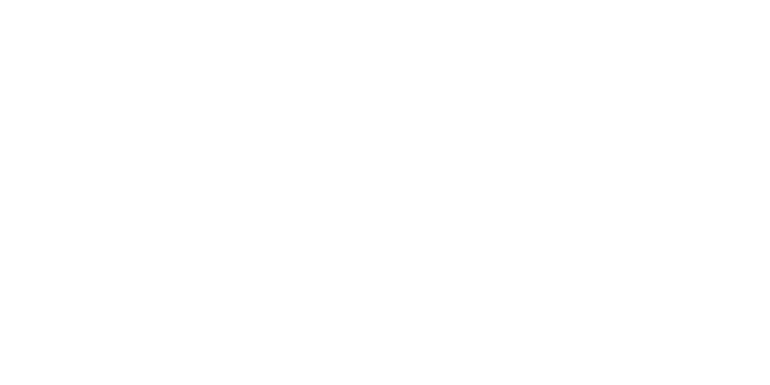 BRAVE