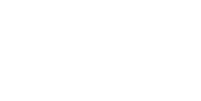BRAVE