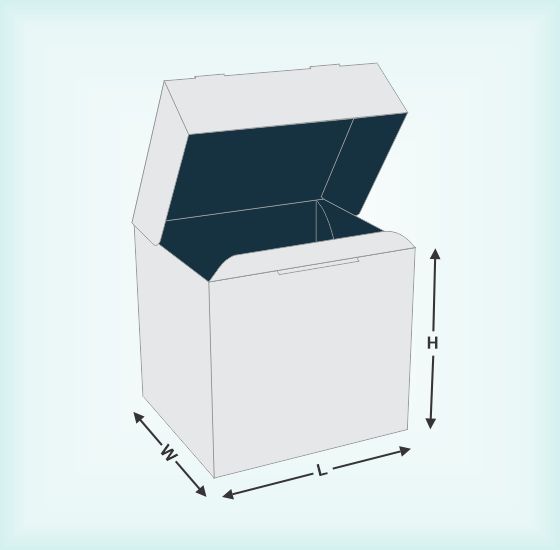 T Boxes