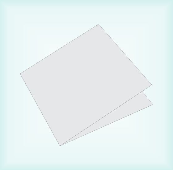 Disc Folder With Pocket