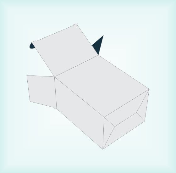 Tuck End Snap Lock Bottom