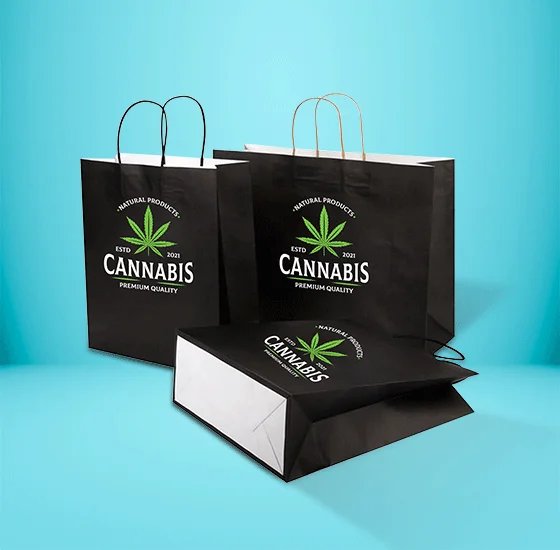 Kraft Paper Bags