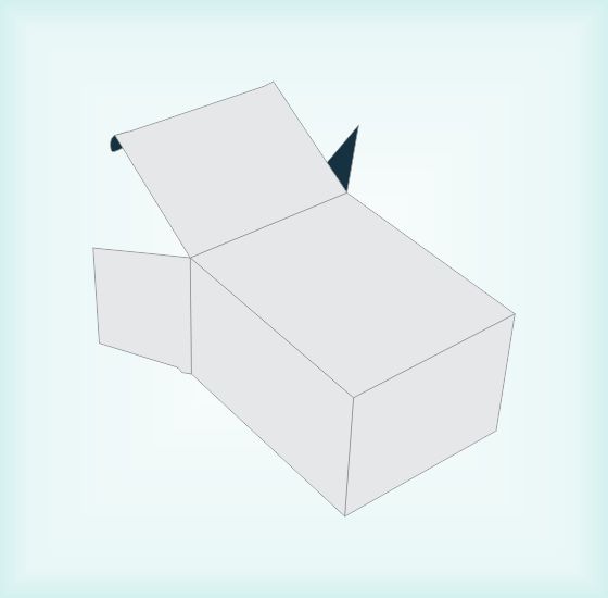 Reverse Tuck End