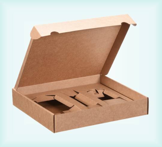 Kraft Card Inserts