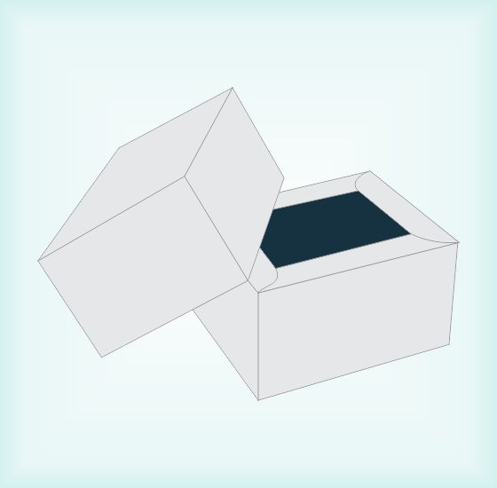 Double Wall Frame Tray & Lid