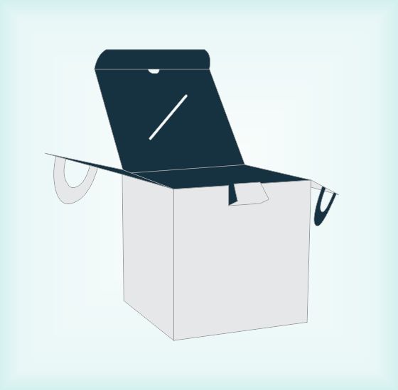 Cube Shaped Carrier