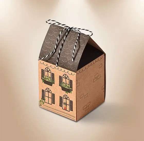 Kraft Die Cut Boxes