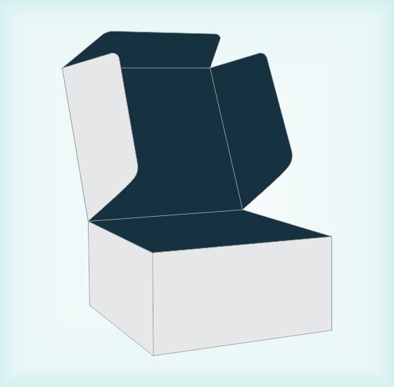 4 Corner Tray Tuck Top