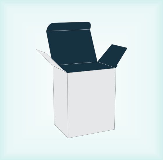 Reverse Tuck End