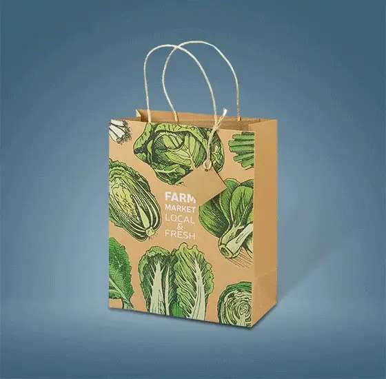 Kraft Paper Bags