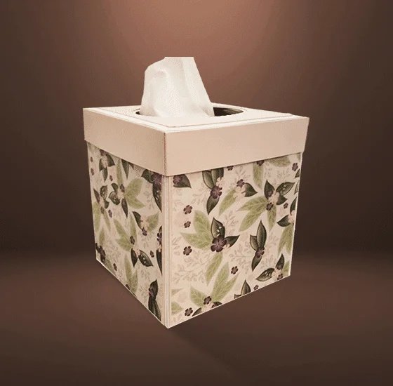 Cube Boxes