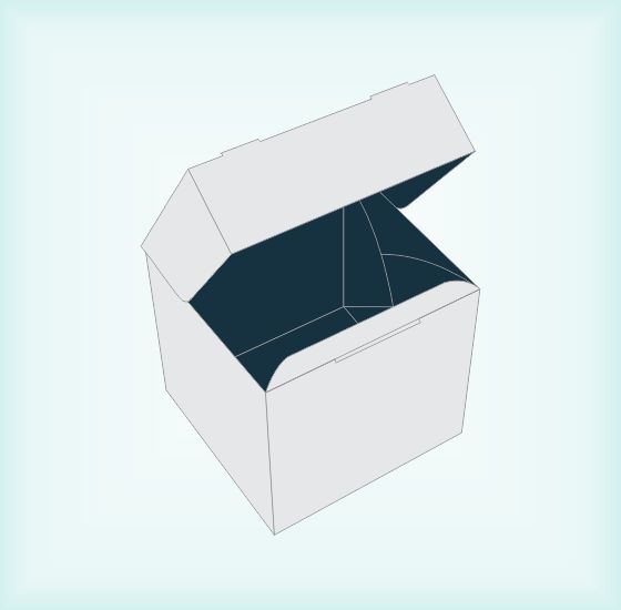 T Boxes